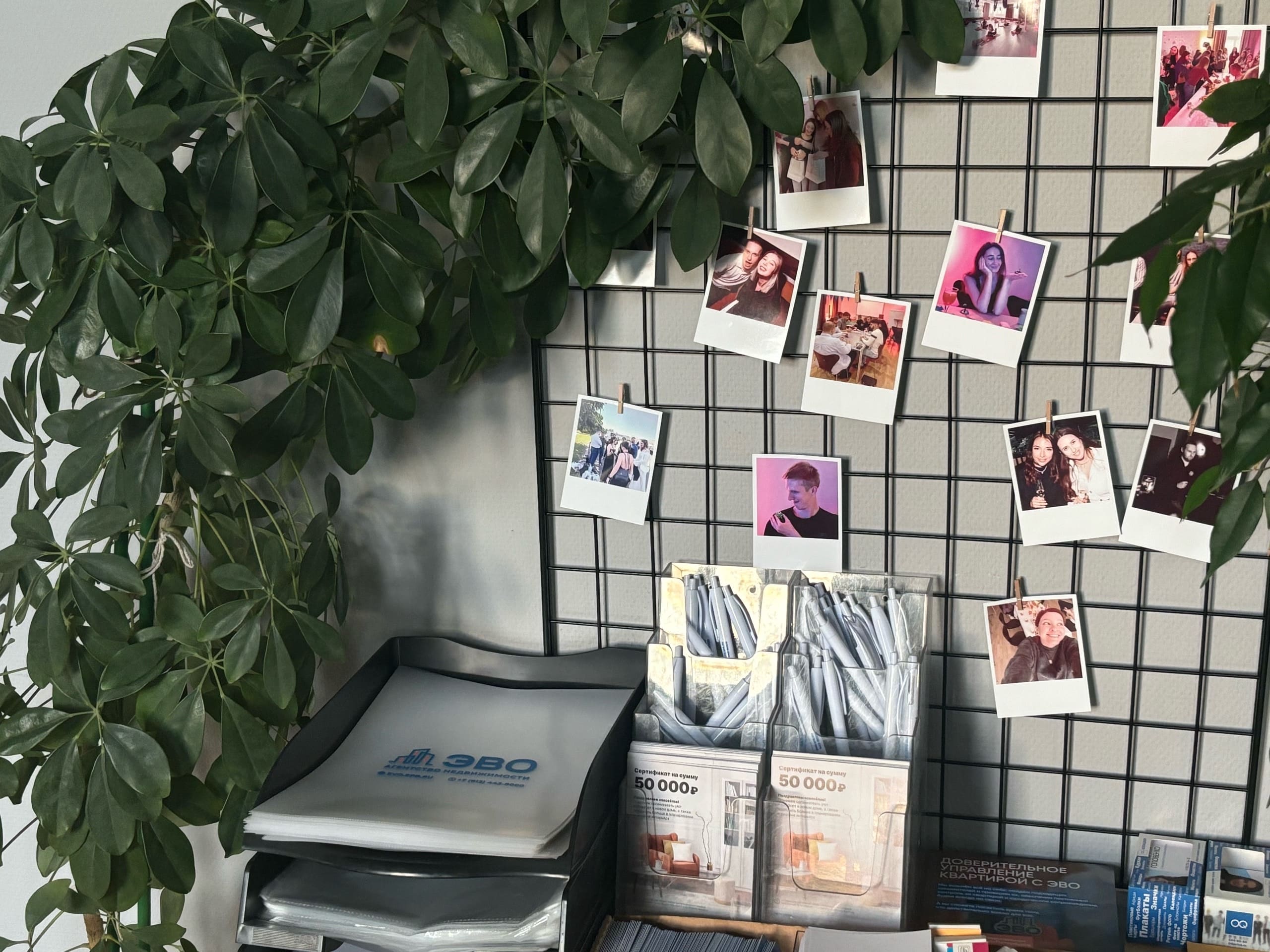 Помощь с выбором экологичного района Петербурга в агентстве ЭВО