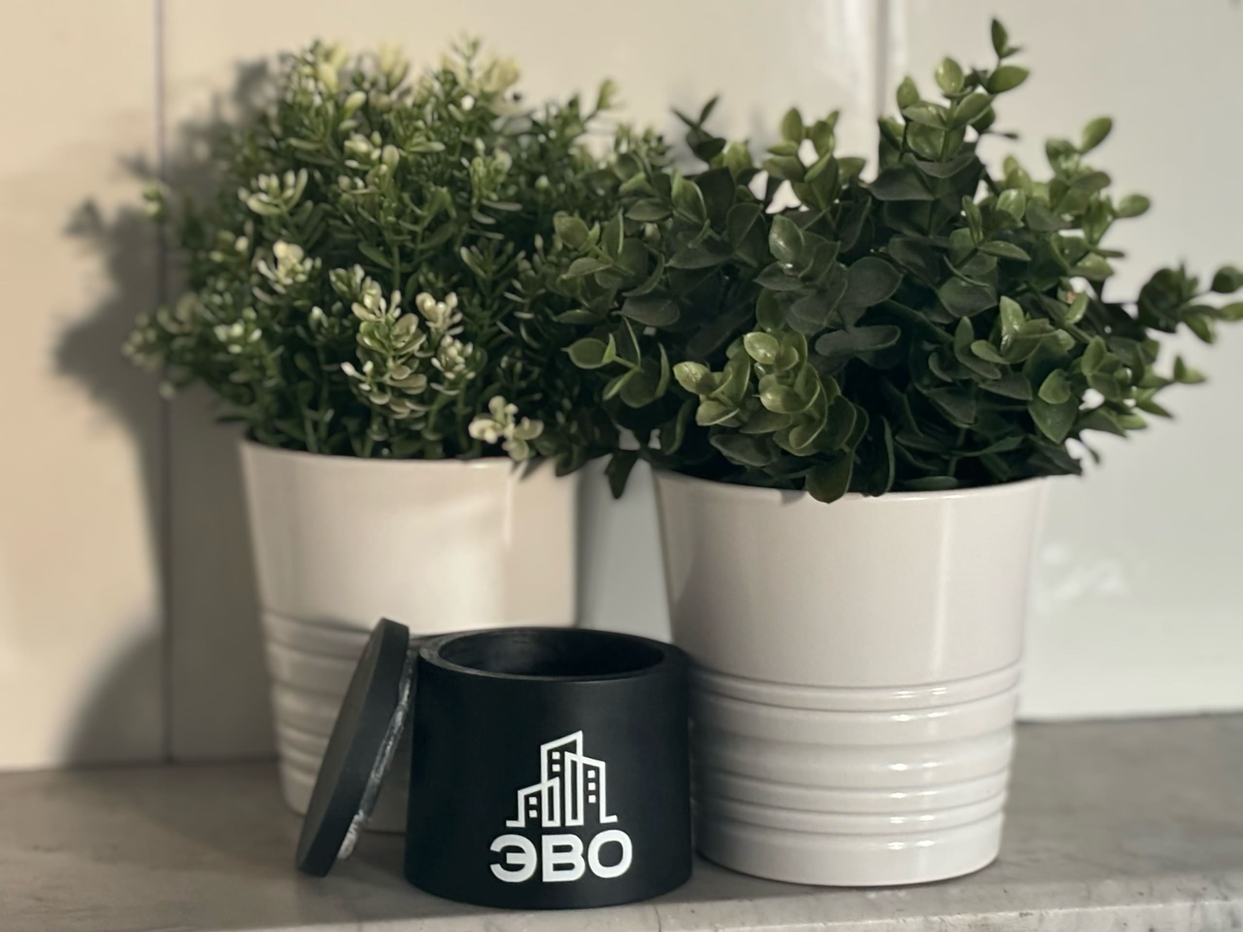 Экология районов Петербурга: зеленые зоны и парки для комфортной