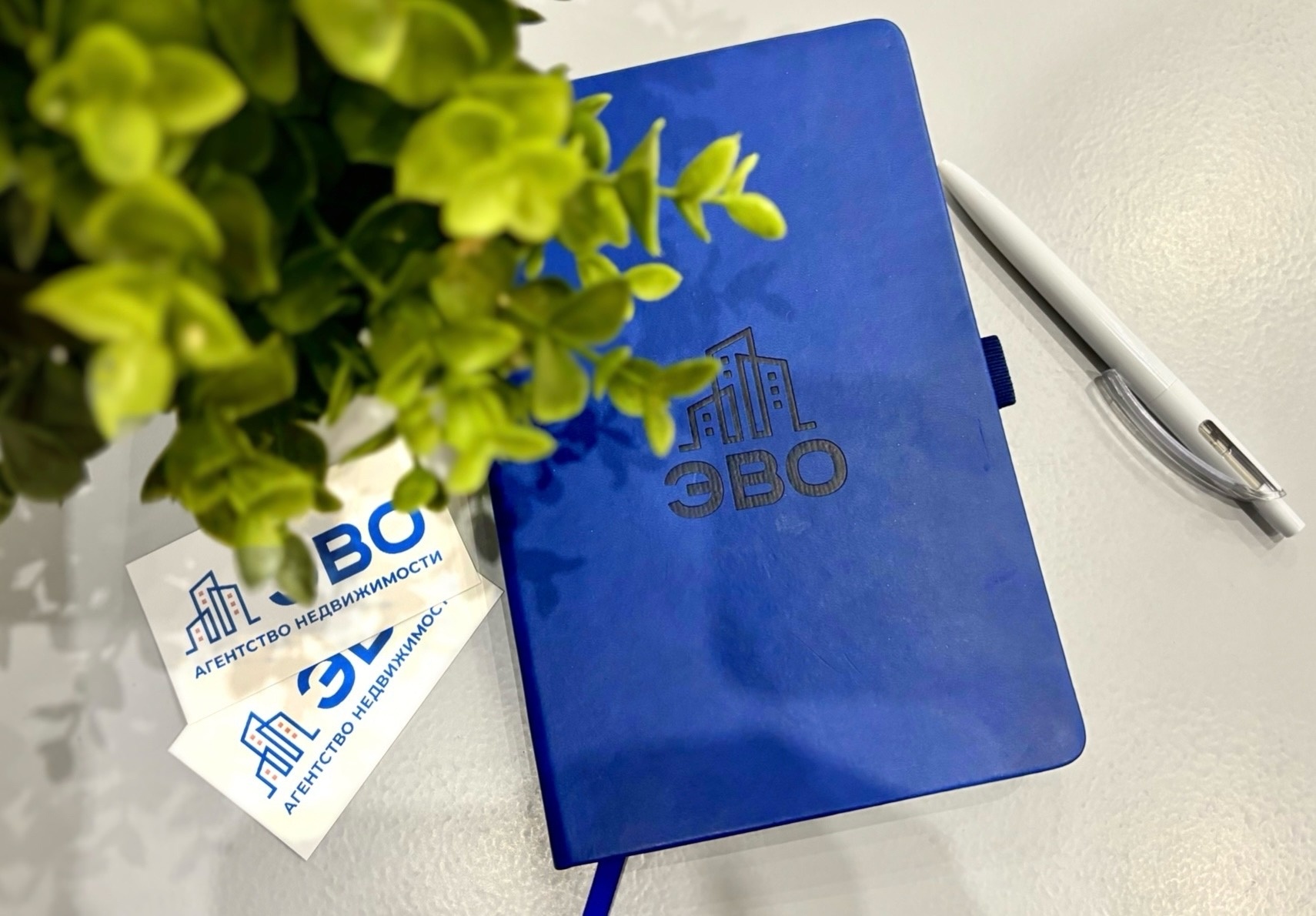 офис агентства недвижимости ЭВО в Санкт-Петербурге