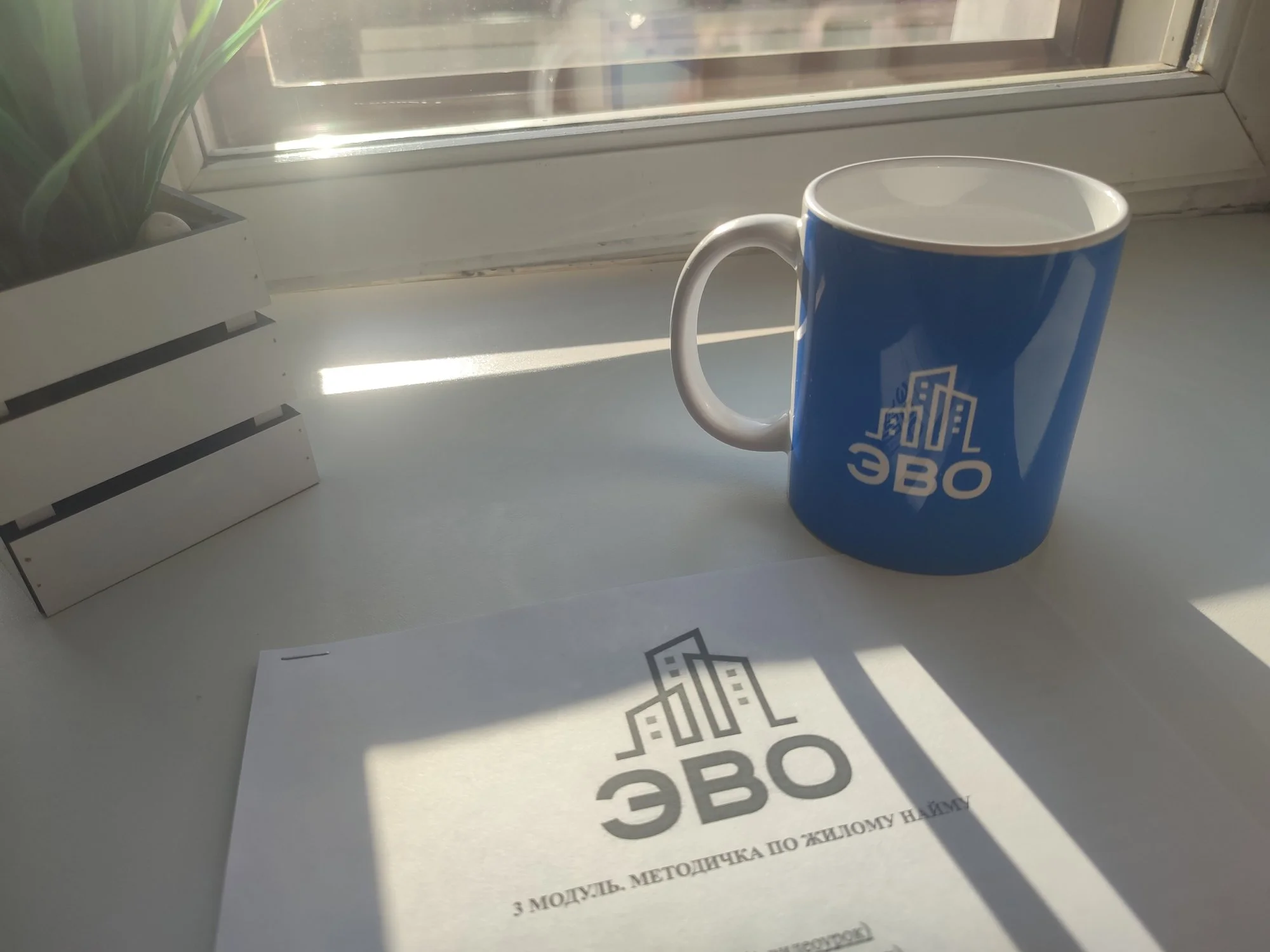 #Купить квартиру у метро Новочеркасская - Санкт-Петербург 2026 - обзор локации от агентства недвижимости ЭВО
