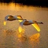 Марина Золотарёва