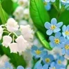 Наталья Мельцова