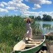 Юлия Чернецкая