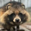 Андрей Сергеевич