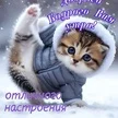 Анна Черкашина