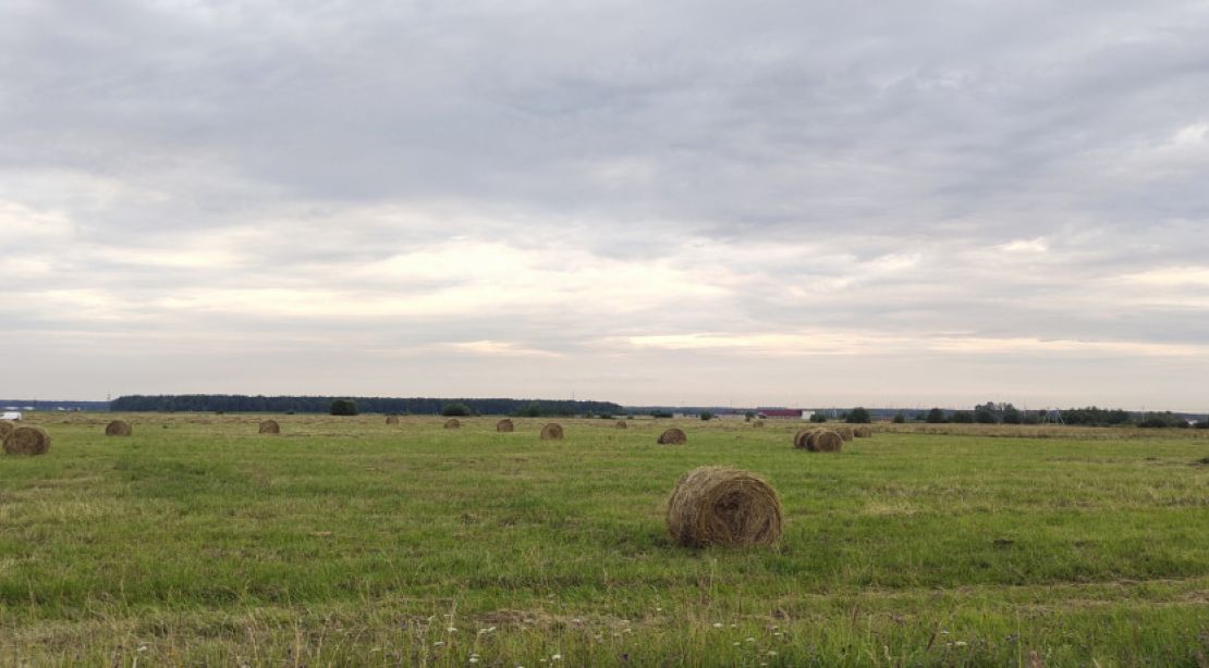 Участок 18 соток под строительство дома в СНТ Коркинское, Ленинградская область