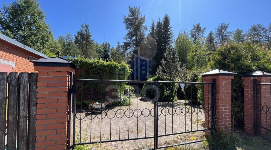 Загородный дом в посёлке Репино среди вековых елей — кейс сложной продажи с восстановлением документов из архива суда Выборга и решением спора о границах участка