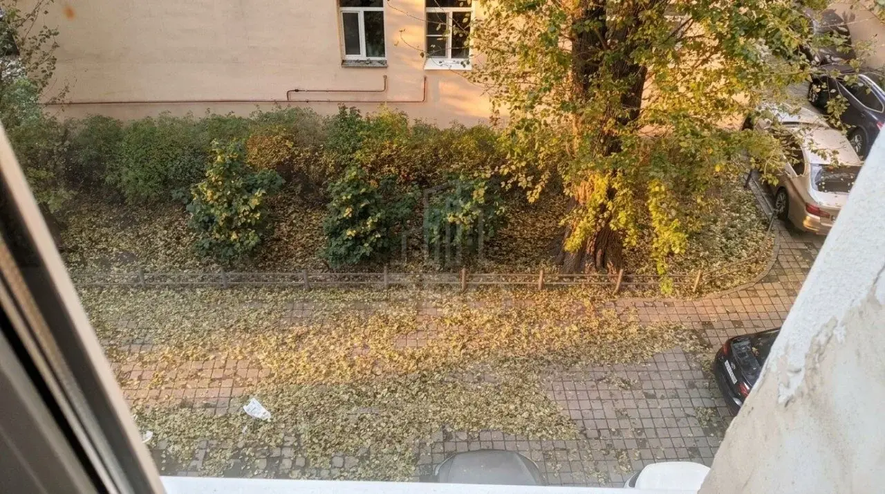 комната в Санкт-Петербурге по адресу: Английский проспект, 20, литера А