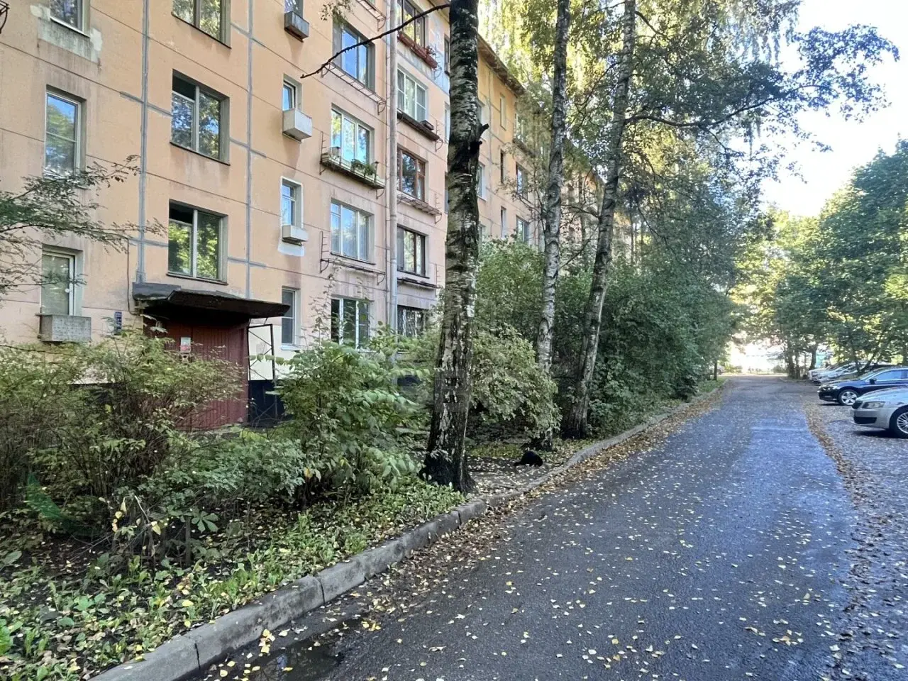 трехкомнатная квартира в Санкт-Петербурге по адресу: Лёни Голикова ул., 42