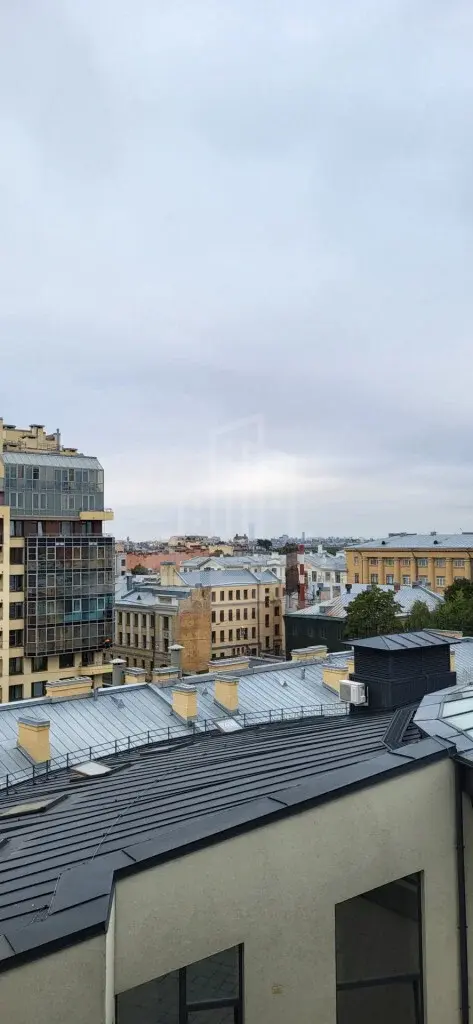 трехкомнатная квартира в Санкт-Петербурге по адресу: Большая Посадская ул., 12, литера А