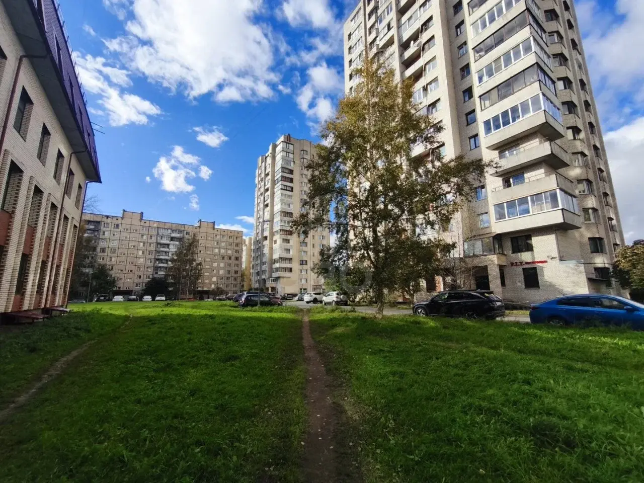 двухкомнатная квартира в Санкт-Петербурге по адресу: Ириновский проспект, 29, к 1