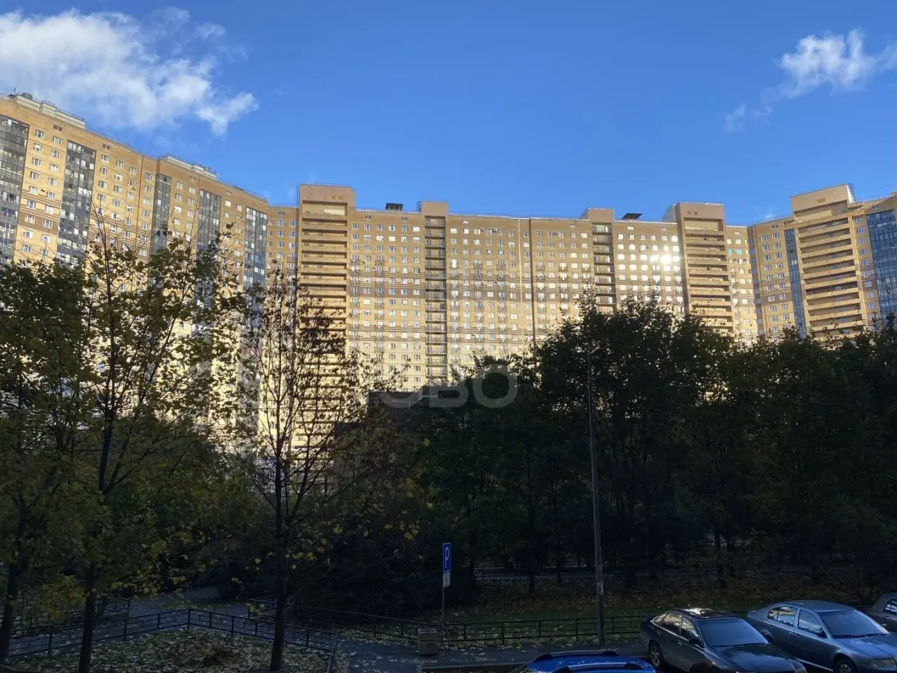 двухкомнатная квартира в Санкт-Петербурге по адресу: Михаила Дудина ул., 25, к 1