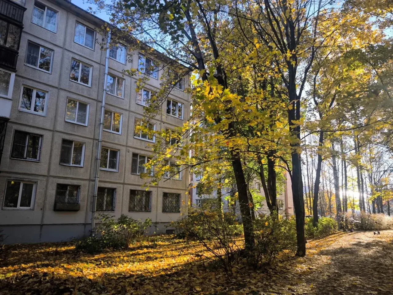 однокомнатная квартира в Санкт-Петербурге по адресу: Верности ул., 22