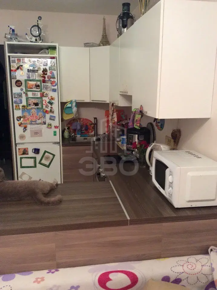 однокомнатная квартира в Санкт-Петербурге по адресу: Богатырский пр-кт., 49