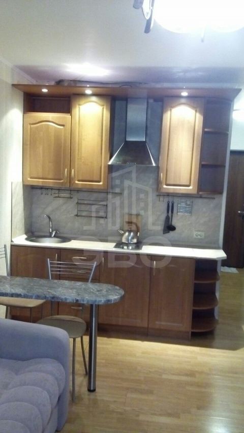 однокомнатная квартира в Санкт-Петербурге по адресу: Ленская ул., 19