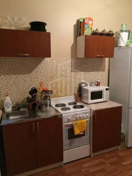 однокомнатная квартира в Санкт-Петербурге по адресу: Лыжный пер., 3