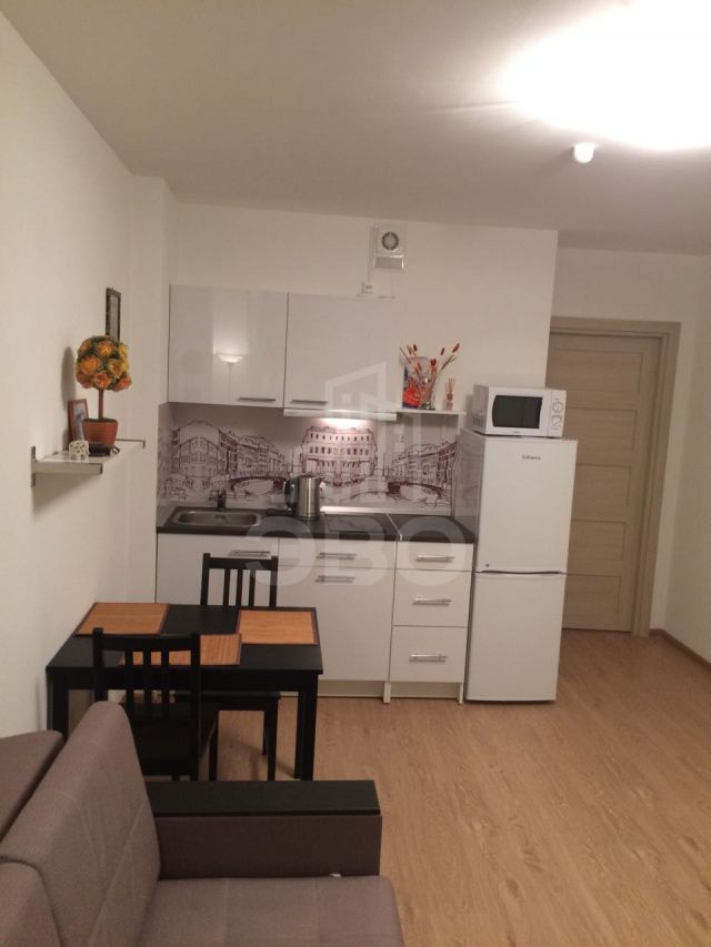 однокомнатная квартира в Санкт-Петербурге по адресу: Энергетиков пр-кт., 9, к.3