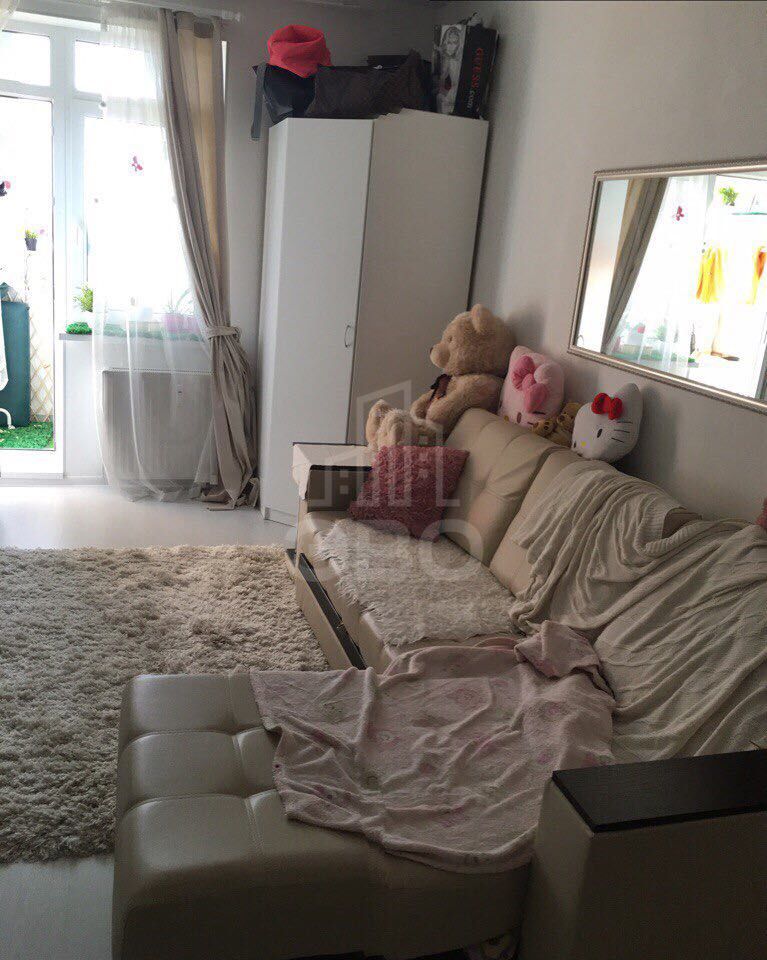 однокомнатная квартира в Санкт-Петербурге по адресу: Маршала Блюхера пр-кт., 8