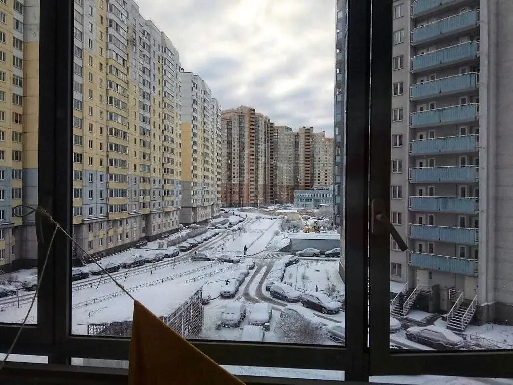 комната в Санкт-Петербурге по адресу: Шуваловский проспект, 86