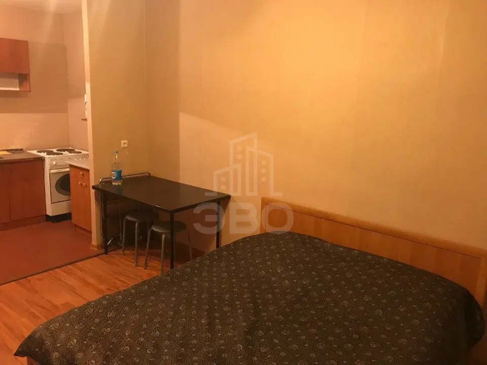 однокомнатная квартира в Санкт-Петербурге по адресу: Энтузиастов пр-кт., 31, к.3