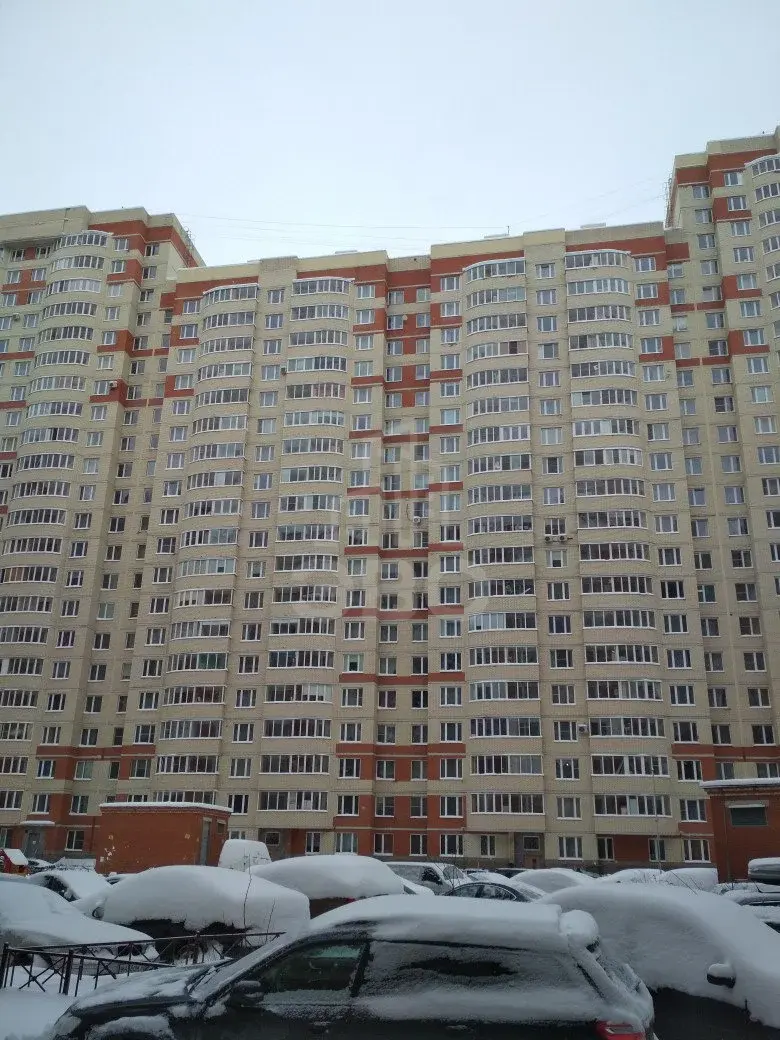 однокомнатная квартира в Санкт-Петербурге по адресу: Ворошилова ул., 31, к 3