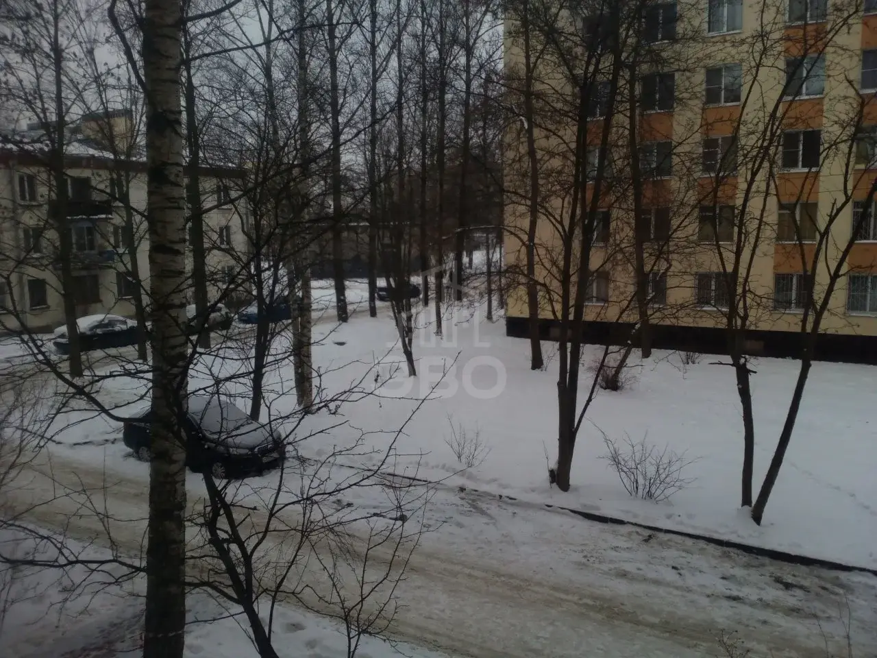трехкомнатная квартира в Санкт-Петербурге по адресу: Тамбасова ул., 25, к 7