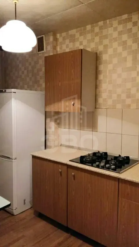 однокомнатная квартира в Санкт-Петербурге по адресу: 2-й Муринский пр-кт., 10, к.1