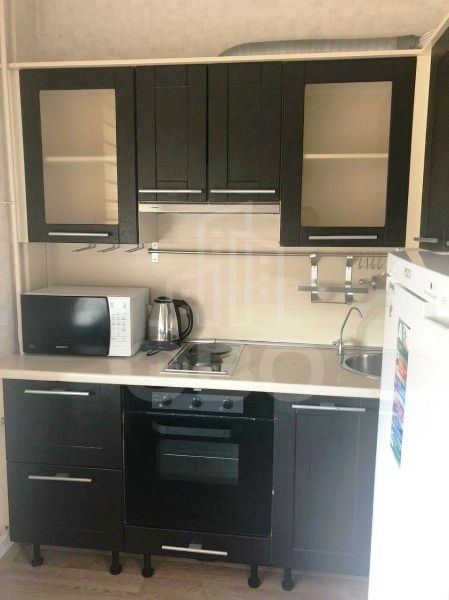 однокомнатная квартира в Санкт-Петербурге по адресу: Косыгина проспект, 17, к 1