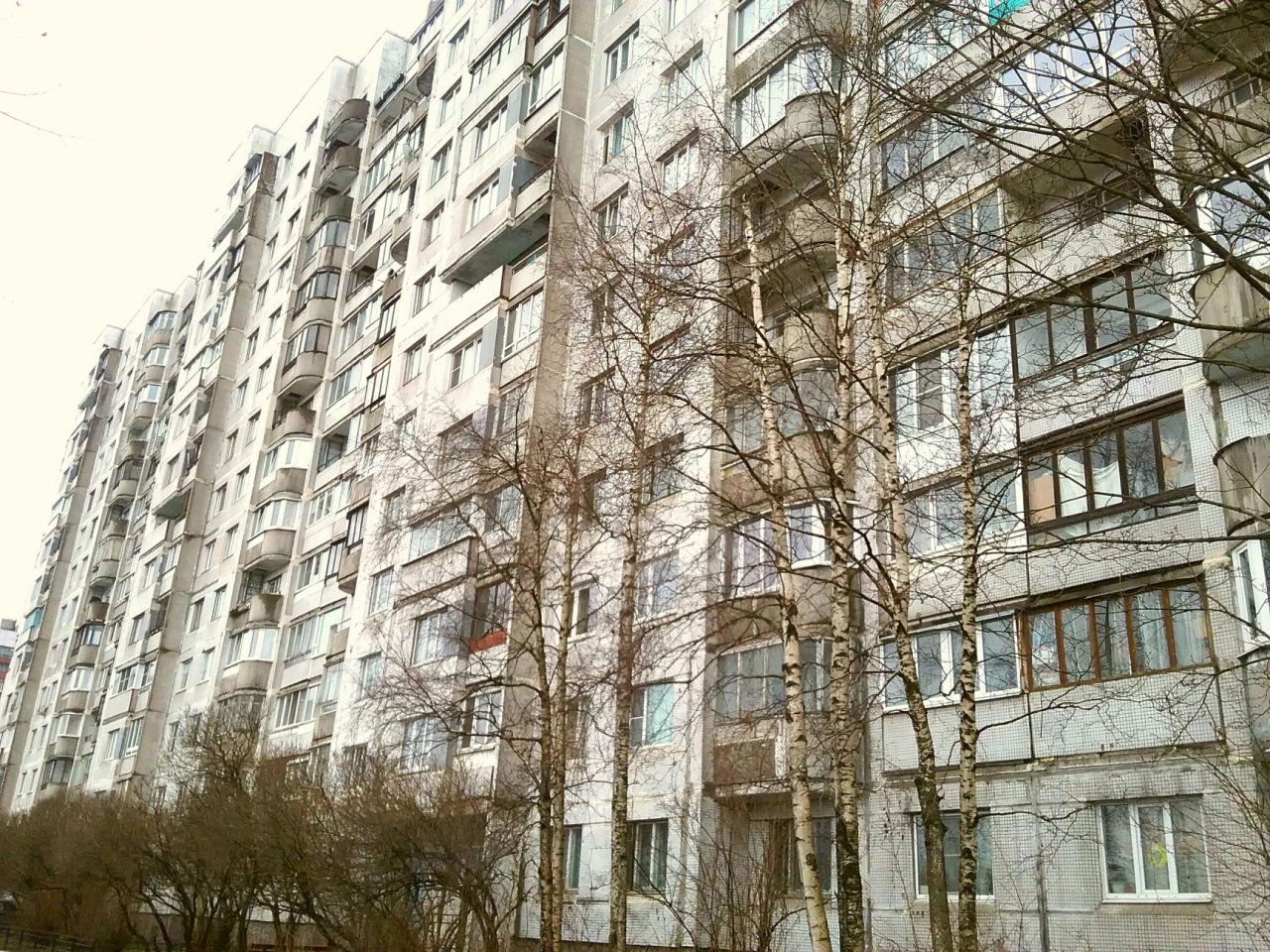 однокомнатная квартира в Санкт-Петербурге по адресу: Кораблестроителей ул., 46, к 1