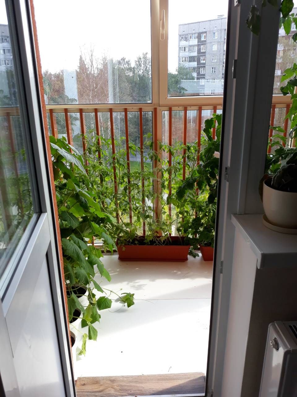 однокомнатная квартира в Санкт-Петербурге по адресу: Оборонная ул., 37, к 1