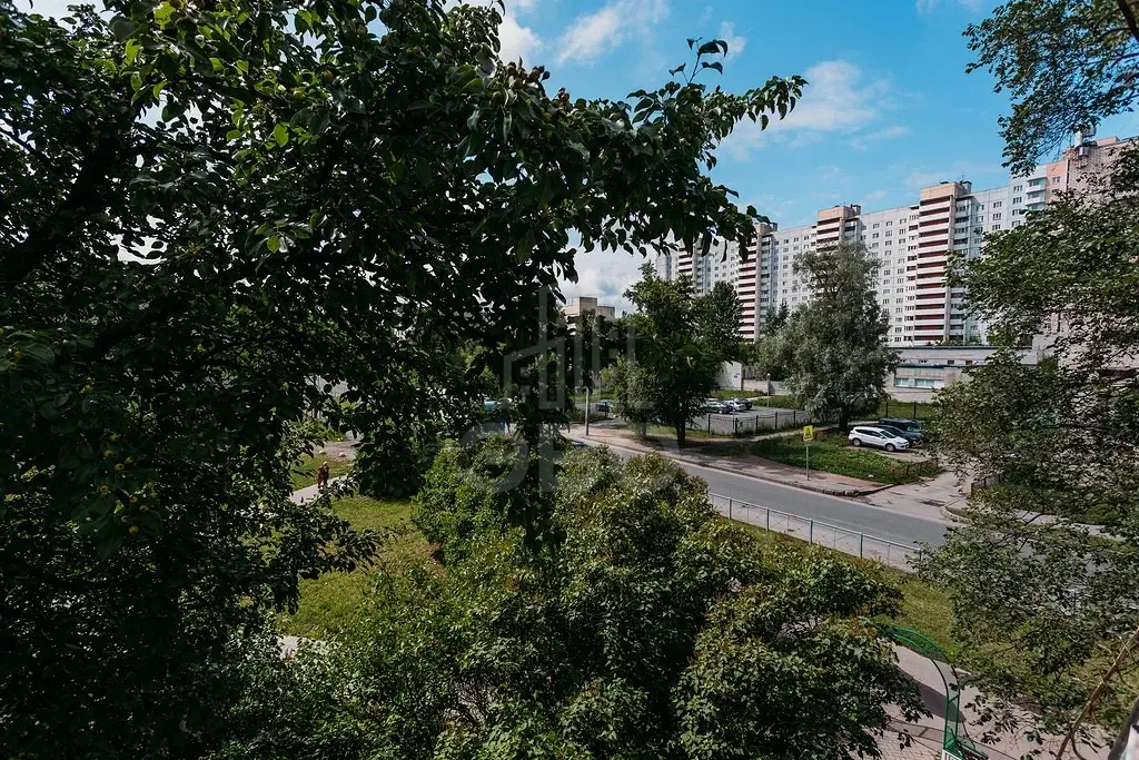 однокомнатная квартира в Санкт-Петербурге по адресу: Тамбасова ул., 24, к 1