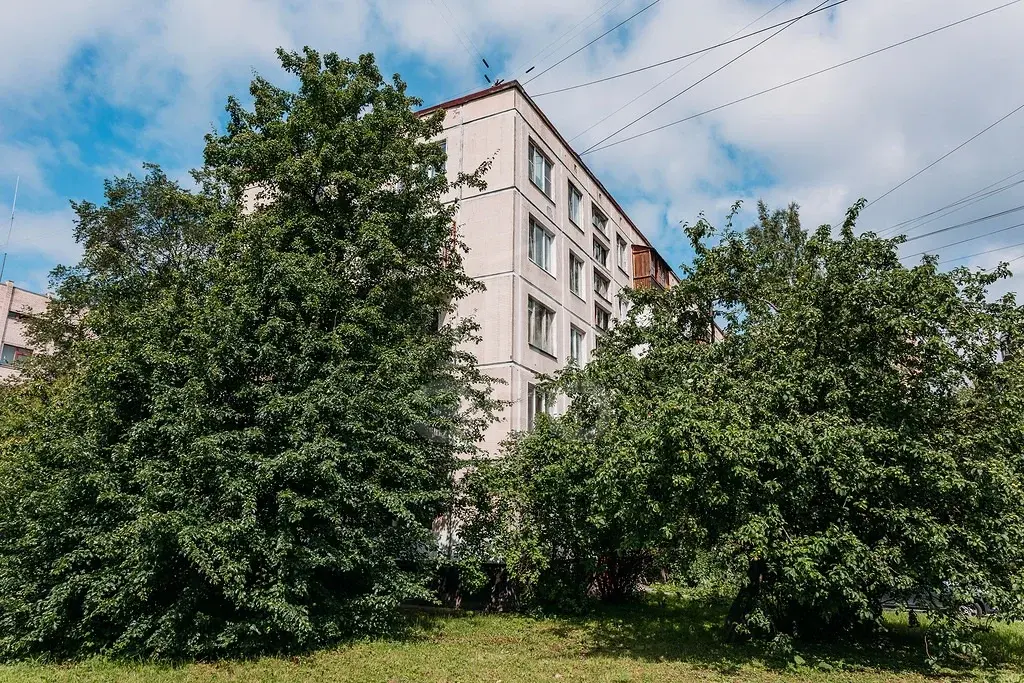 однокомнатная квартира в Санкт-Петербурге по адресу: Тамбасова ул., 24, к 1