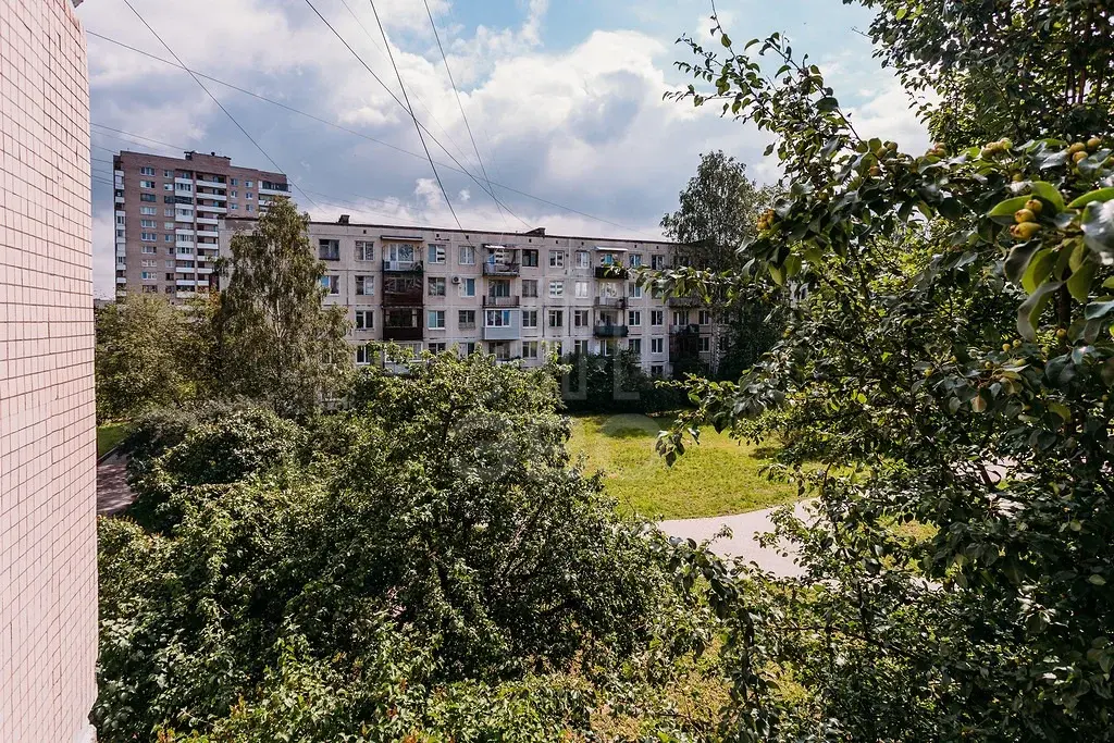 однокомнатная квартира в Санкт-Петербурге по адресу: Тамбасова ул., 24, к 1