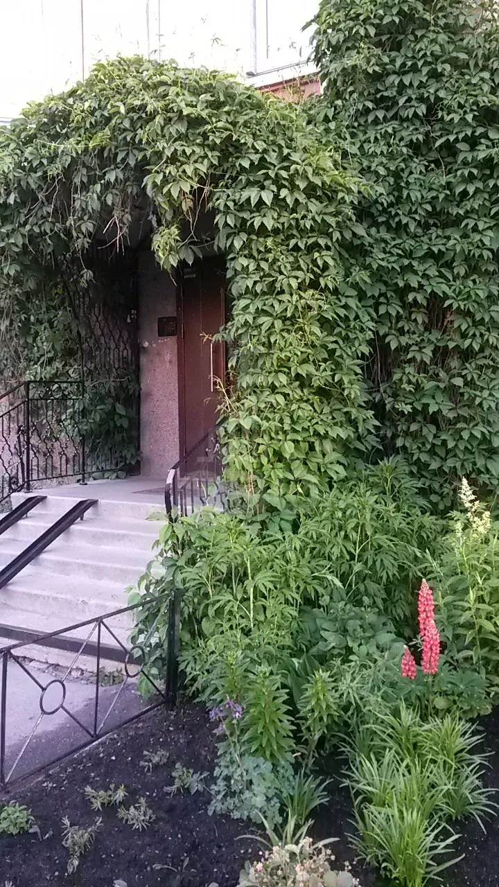 однокомнатная квартира в Санкт-Петербурге по адресу: Ветеранов пр-кт., 79, к 3
