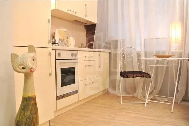 однокомнатная квартира в Санкт-Петербурге по адресу: Римского-Корсакова пр-кт., 23