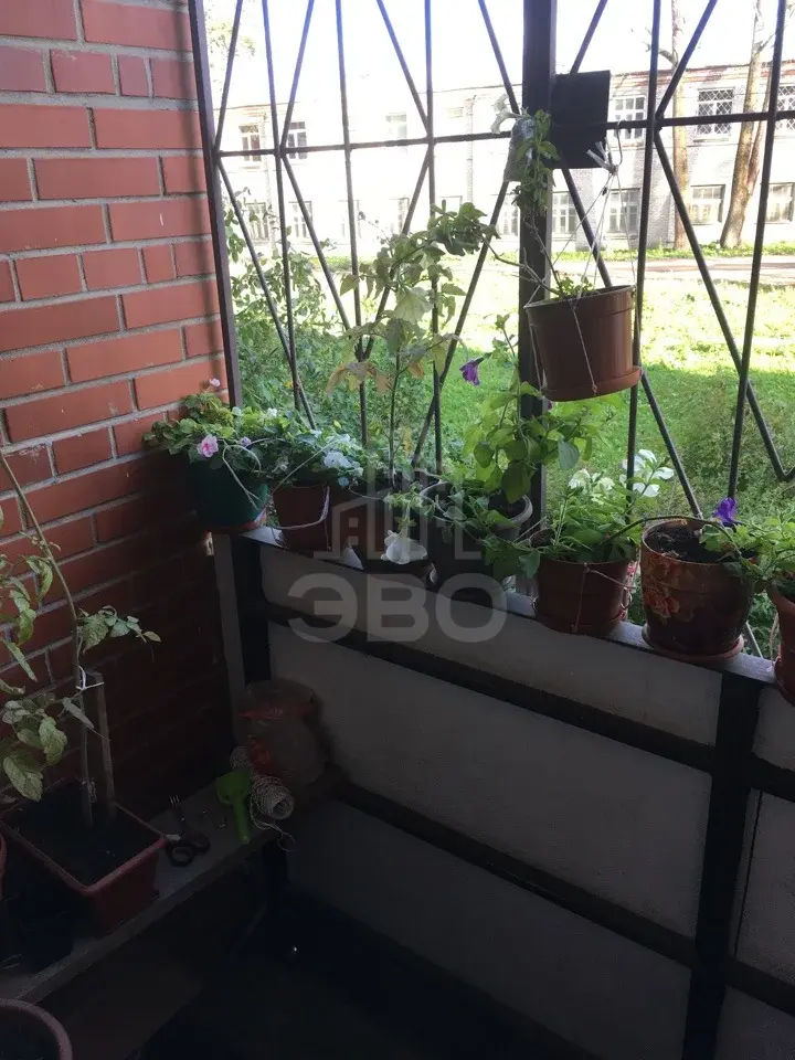 двухкомнатная квартира в Санкт-Петербурге по адресу: Центральная (Детскосельский) ул., 8, к 2