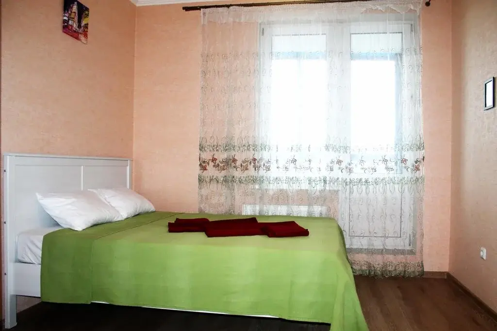 однокомнатная квартира в Санкт-Петербурге по адресу: Королева пр-кт., 7