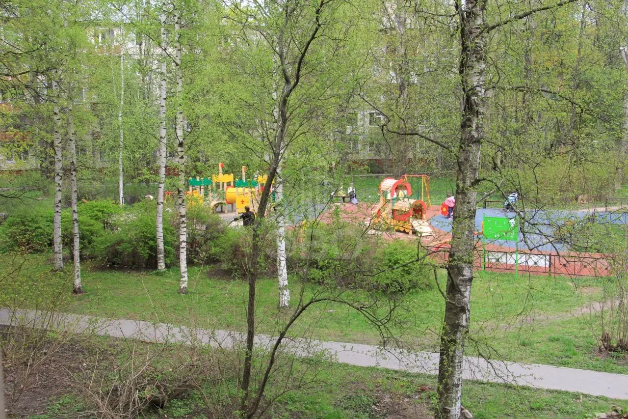 трехкомнатная квартира в Санкт-Петербурге по адресу: Космонавтов пр-кт., 29