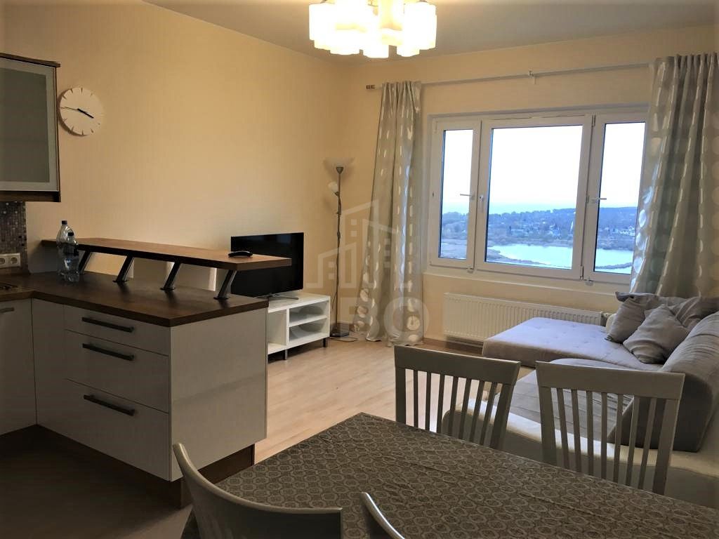 однокомнатная квартира в Санкт-Петербурге по адресу: Мебельная ул., 49/92