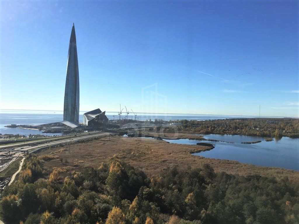 однокомнатная квартира в Санкт-Петербурге по адресу: Мебельная ул., 49/92