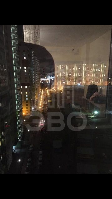 однокомнатная квартира в Санкт-Петербурге по адресу: Энергетиков пр-кт., 11, к 5