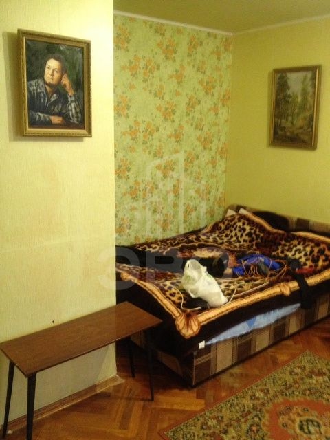 однокомнатная квартира в Санкт-Петербурге по адресу: Маршала Блюхера пр-кт., 57, к 2