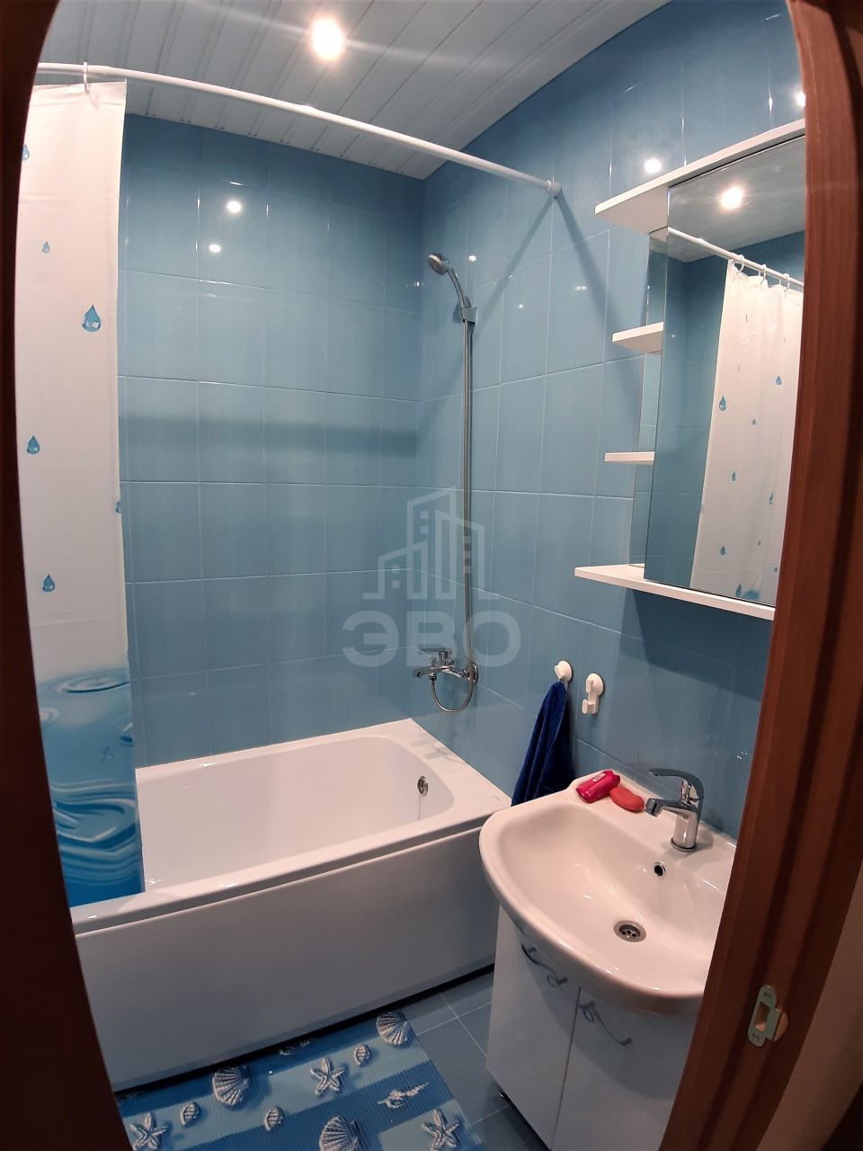 двухкомнатная квартира в Санкт-Петербурге по адресу: Просвещения проспект, 43