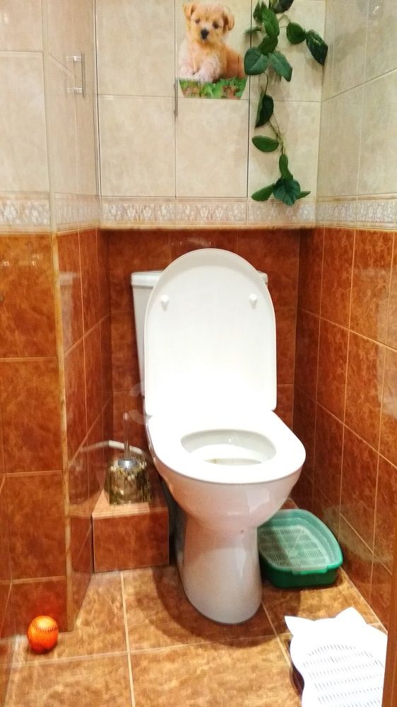 комната в Санкт-Петербурге по адресу: Юрия Гагарина проспект, 46