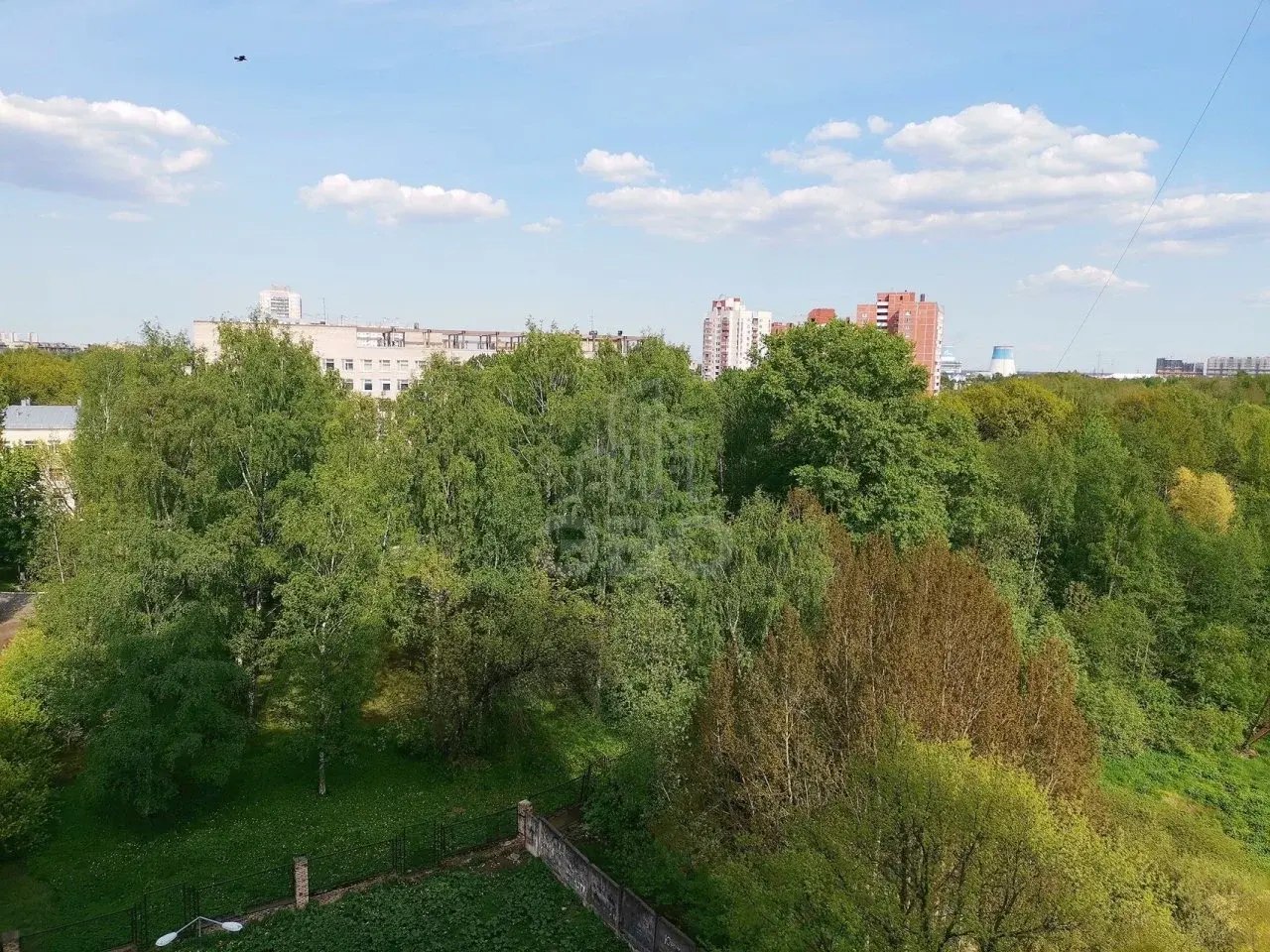 однокомнатная квартира в Санкт-Петербурге по адресу: Народная ул., 11, к 2