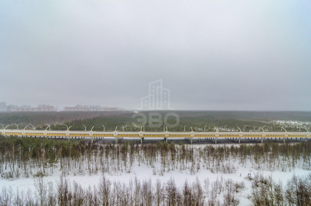 двухкомнатная квартира в Санкт-Петербурге по адресу: Планерная ул., 63, к 1