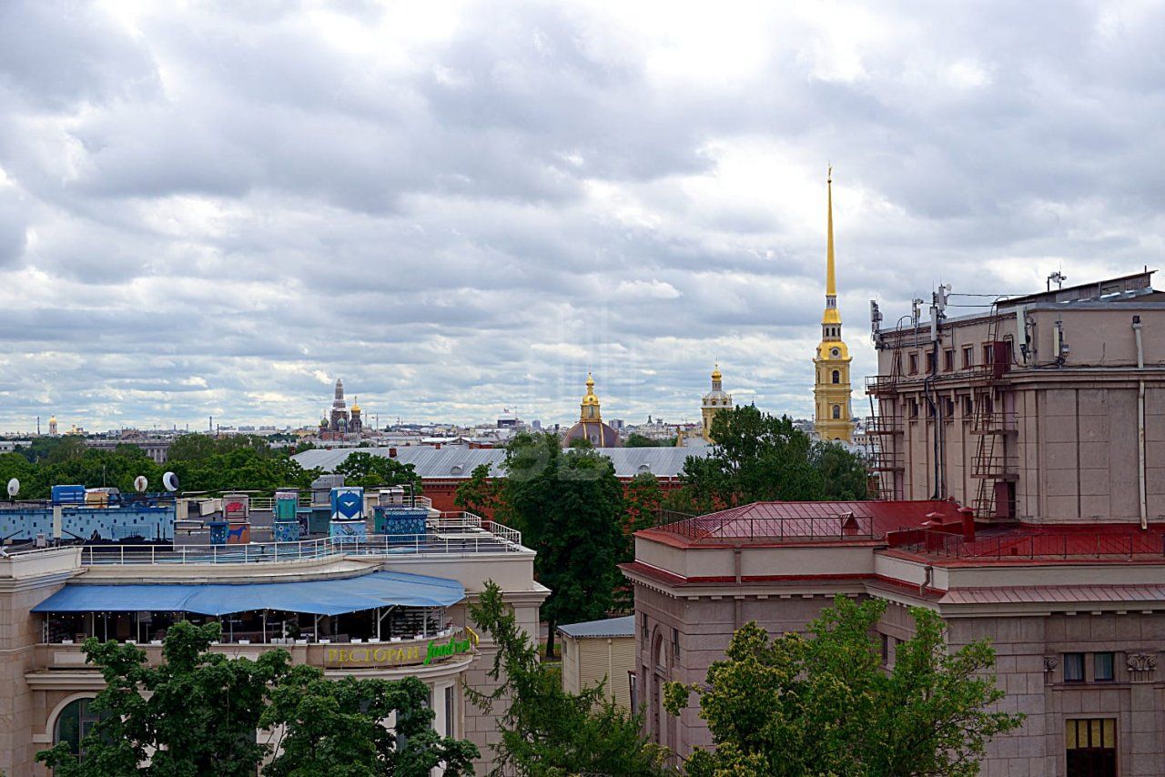 однокомнатная квартира в Санкт-Петербурге по адресу: Кронверкский проспект, 45