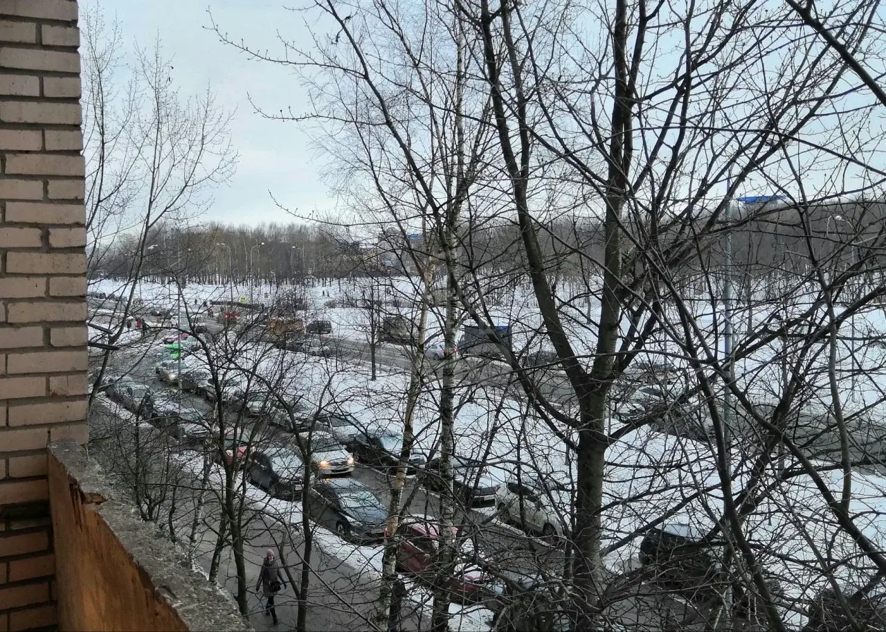 однокомнатная квартира в Санкт-Петербурге по адресу: Товарищеский проспект, 28, к 1