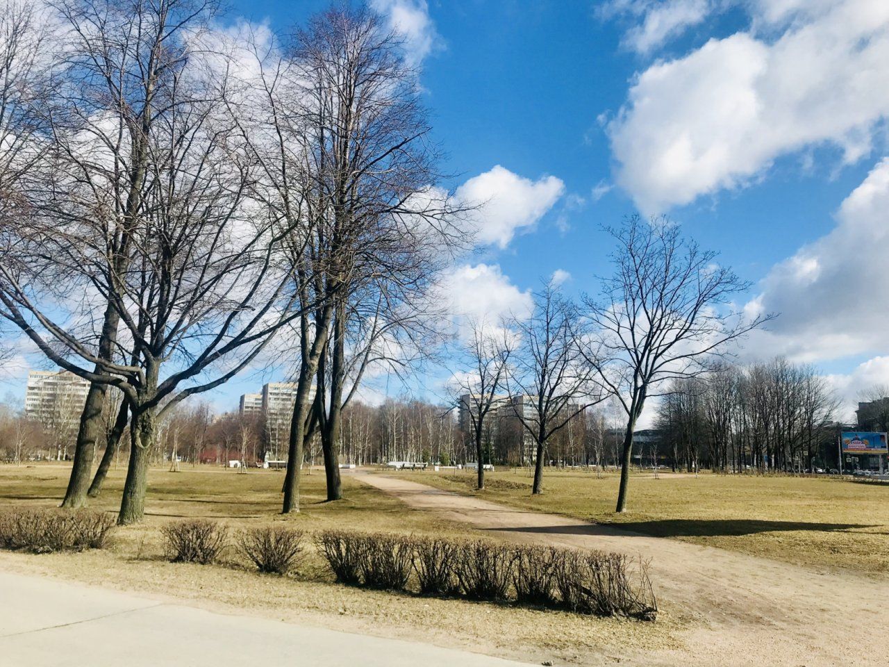 однокомнатная квартира в Санкт-Петербурге по адресу: Большеохтинский проспект, 22, к 2