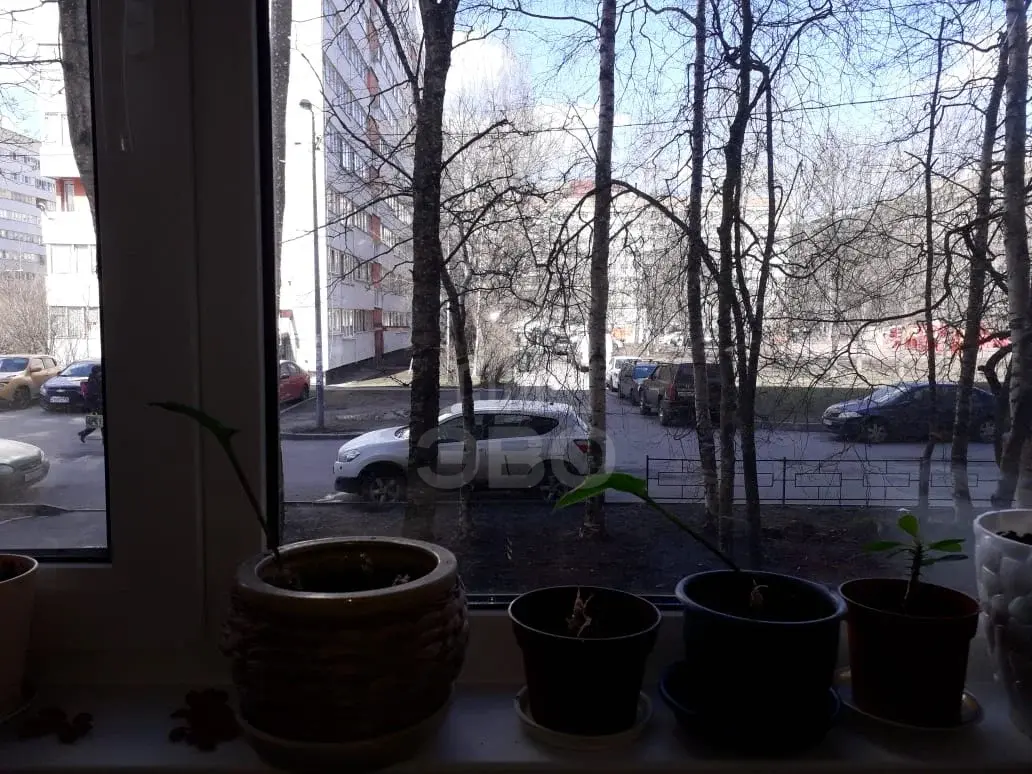 комната в Санкт-Петербурге по адресу: Зины Портновой ул., 23, к 1